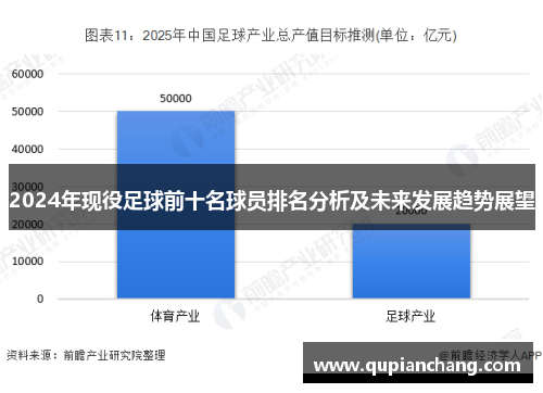 2024年现役足球前十名球员排名分析及未来发展趋势展望